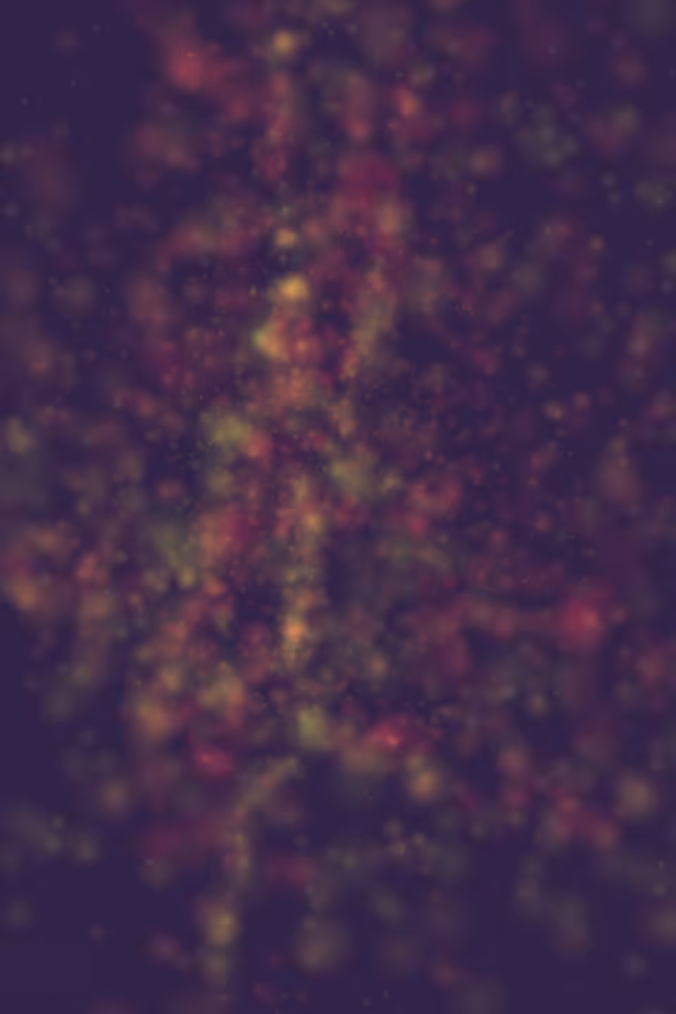 Orchestrated Chaos #14