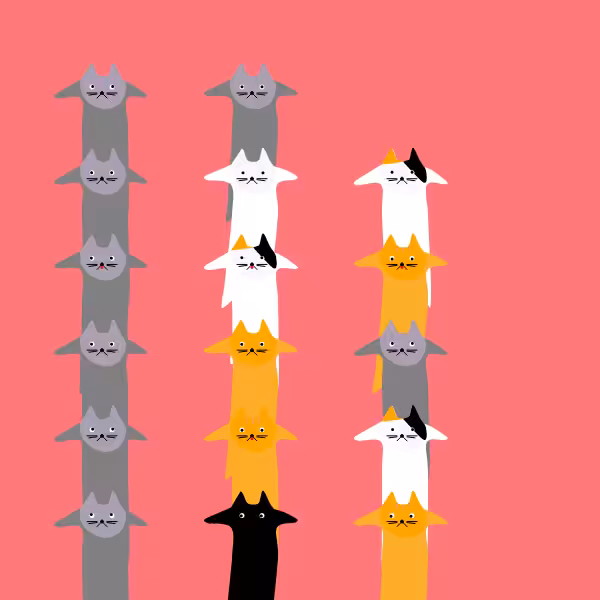 The Catsssss #3