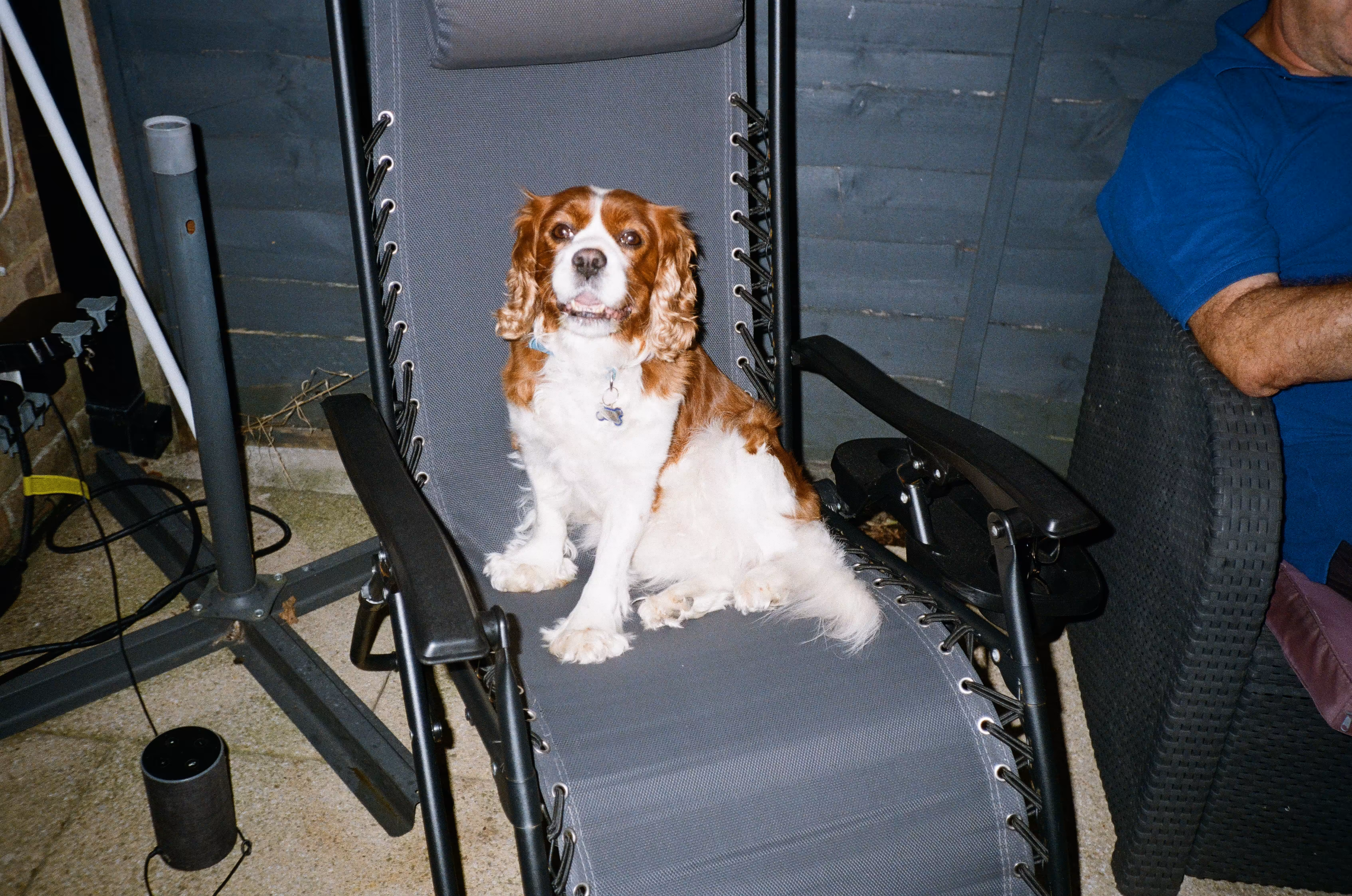 Bailey on film