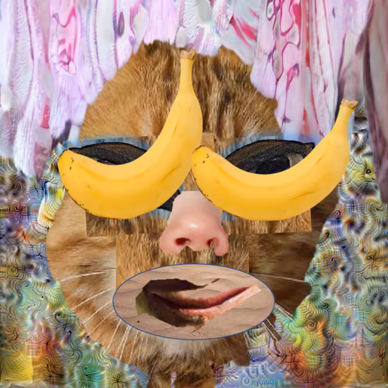 A collage of collages #52