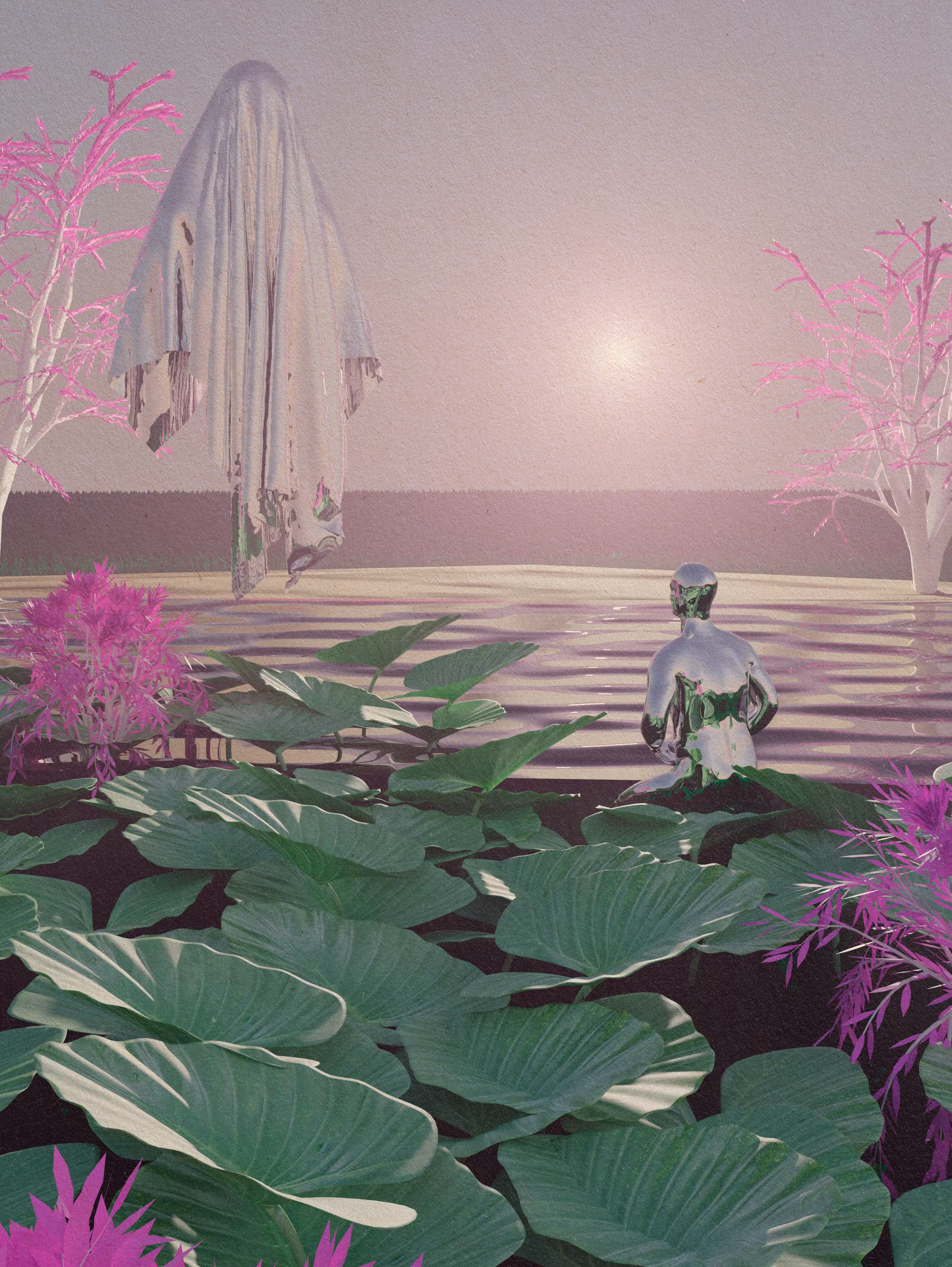 Taioba Visions