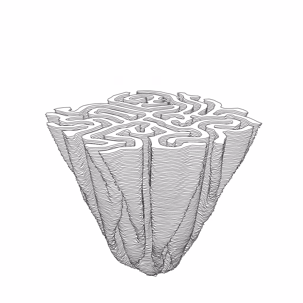 LL21 Differential Growth #73