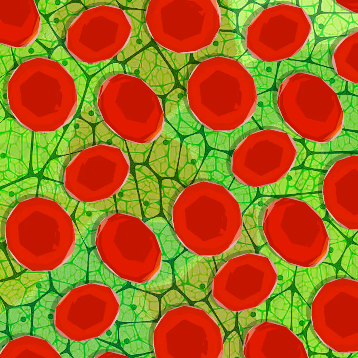 Linnaeus and the Blood Cells