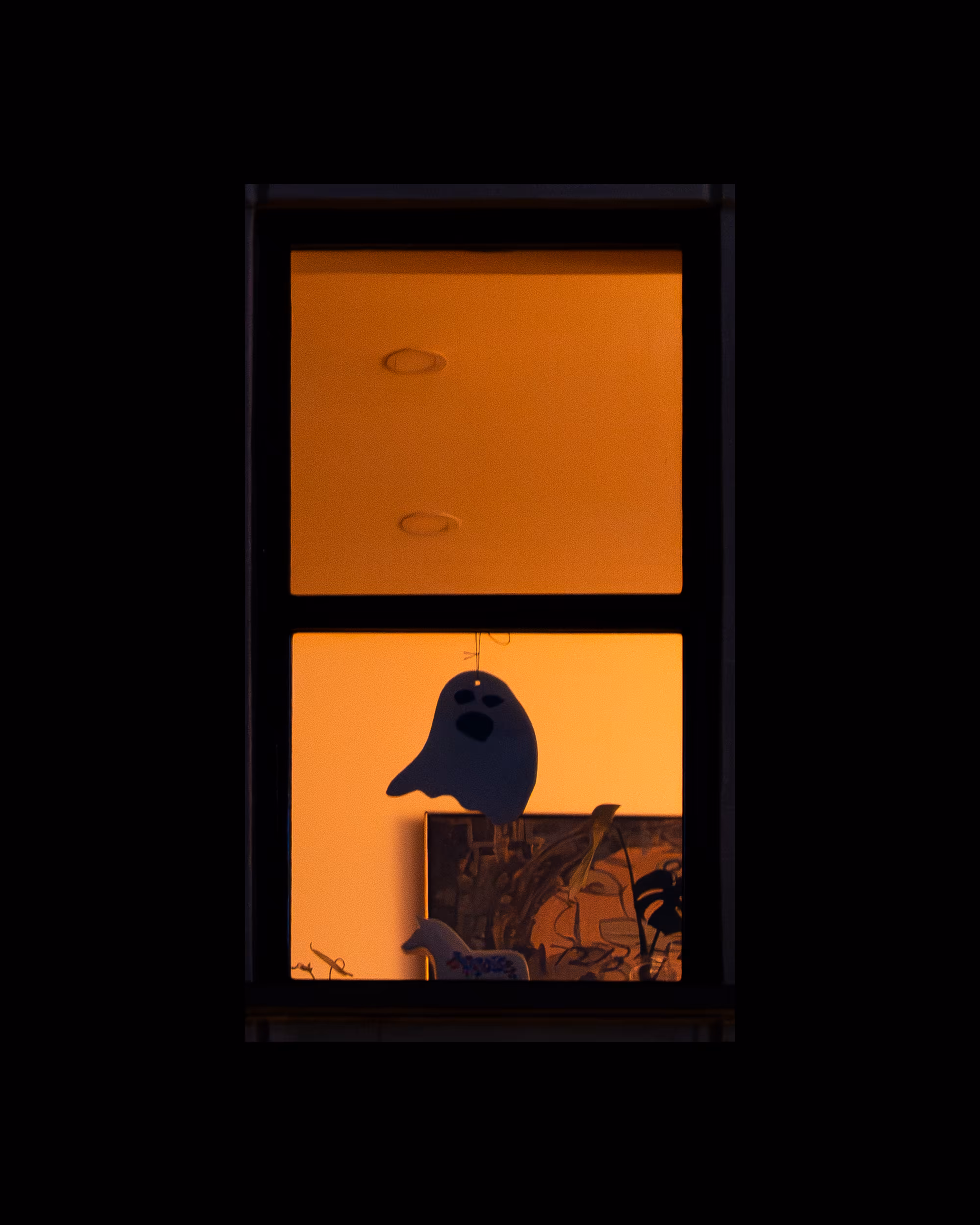 WINDOW 41