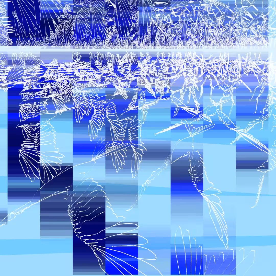 Birds in Flight #01