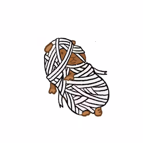 LATTE LATTE Mummy #15