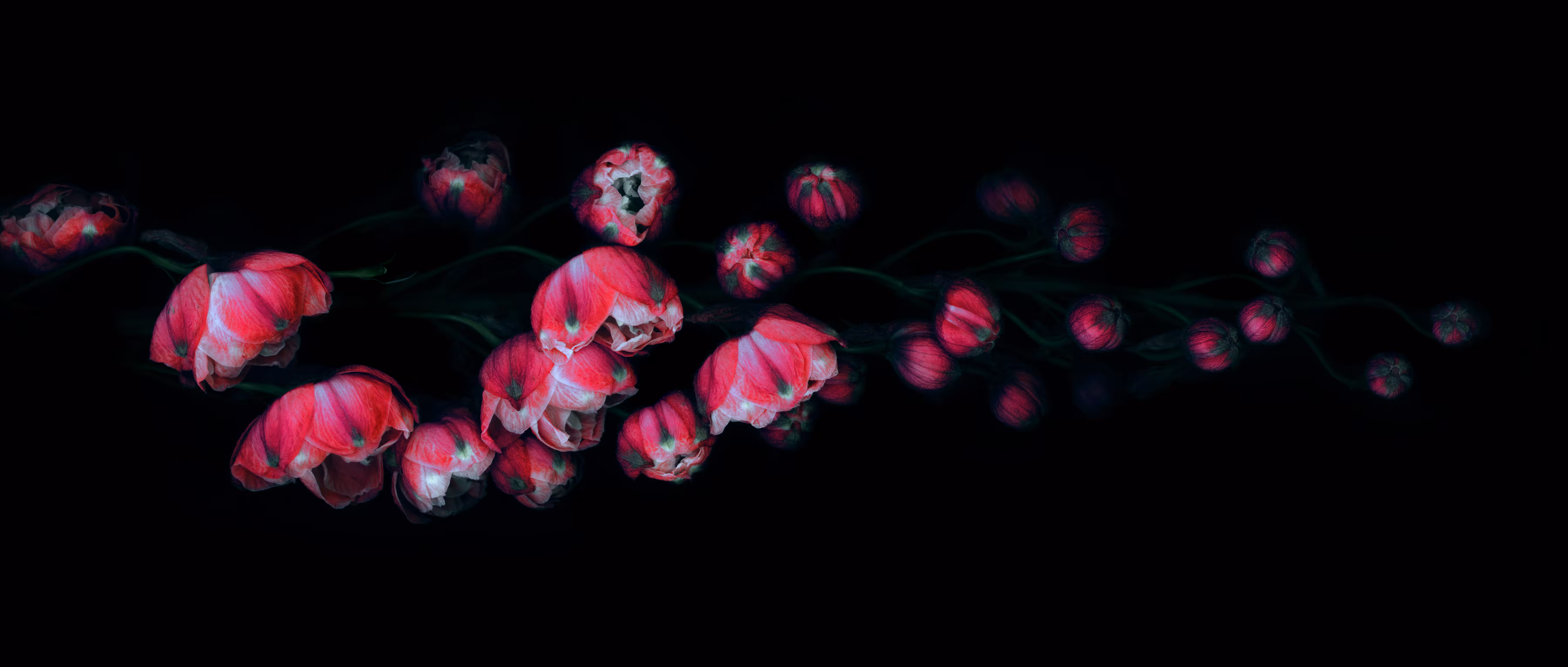 Flowers For You 952