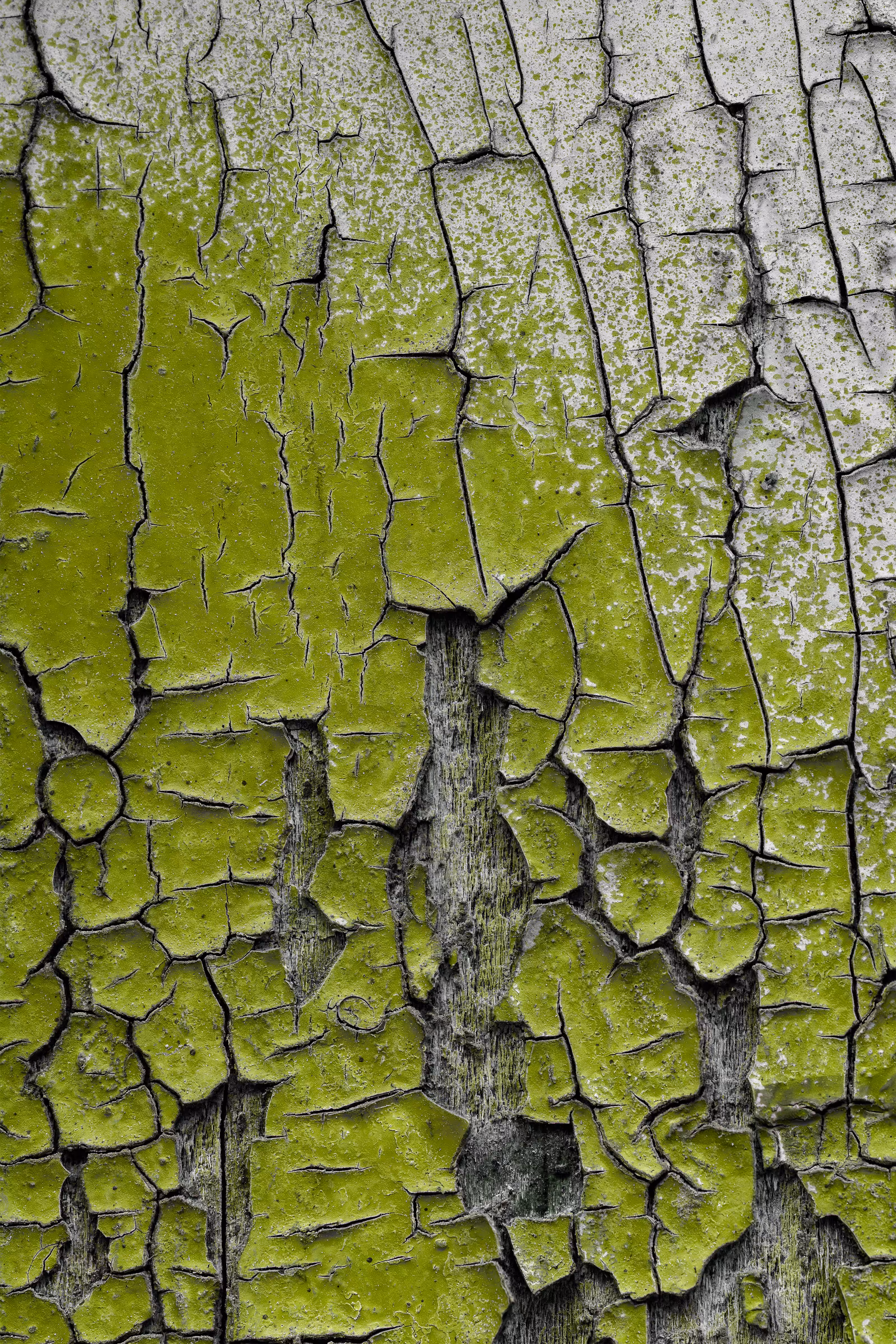 Étude de textures: 22