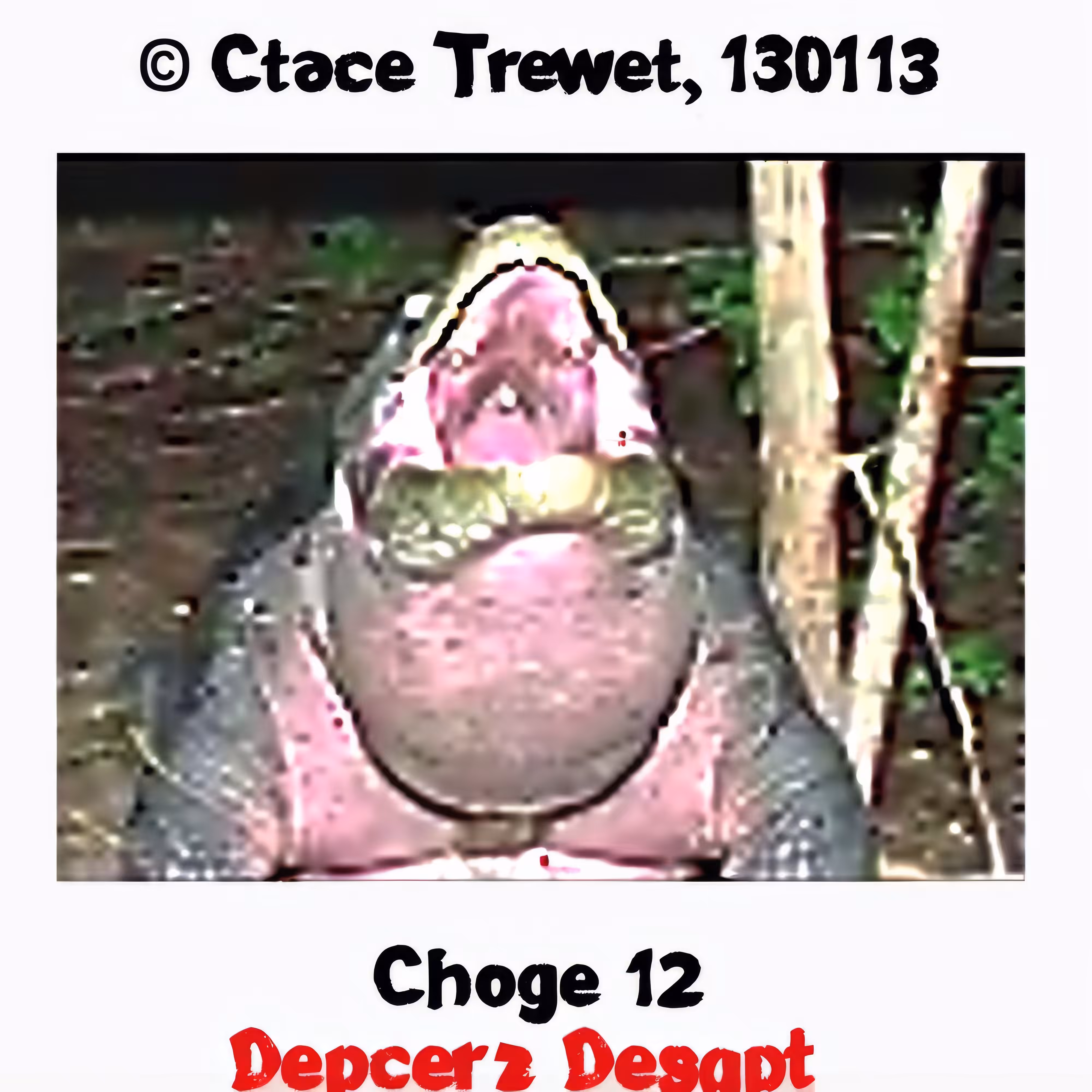 Choge-12