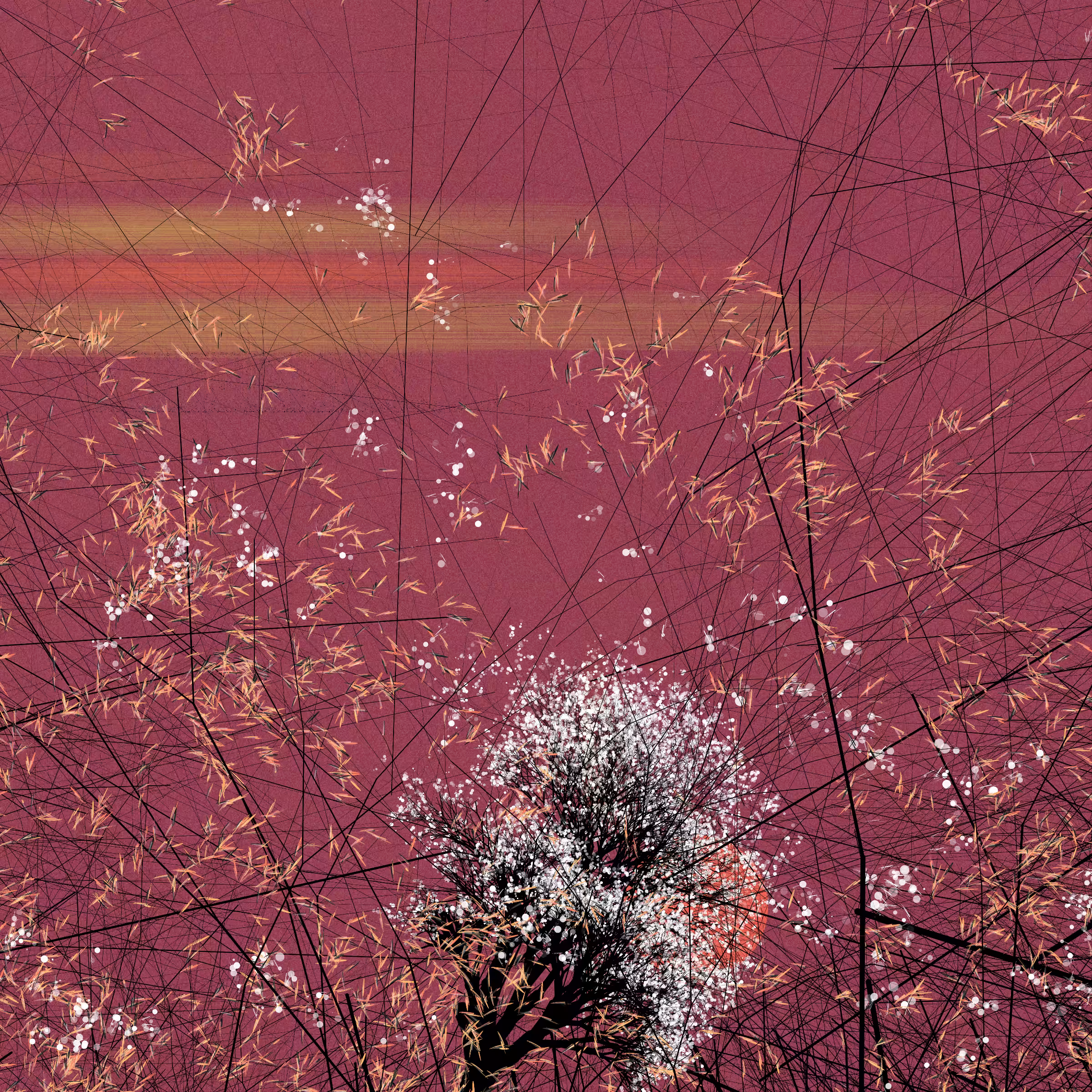 conversation with the wind #316