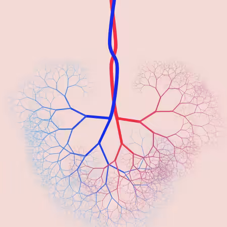 capillary trees #10