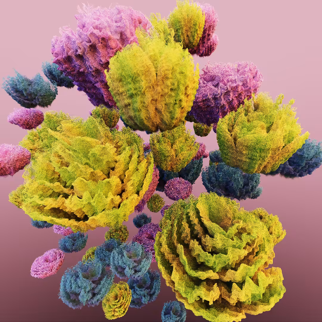 rosarium #155
