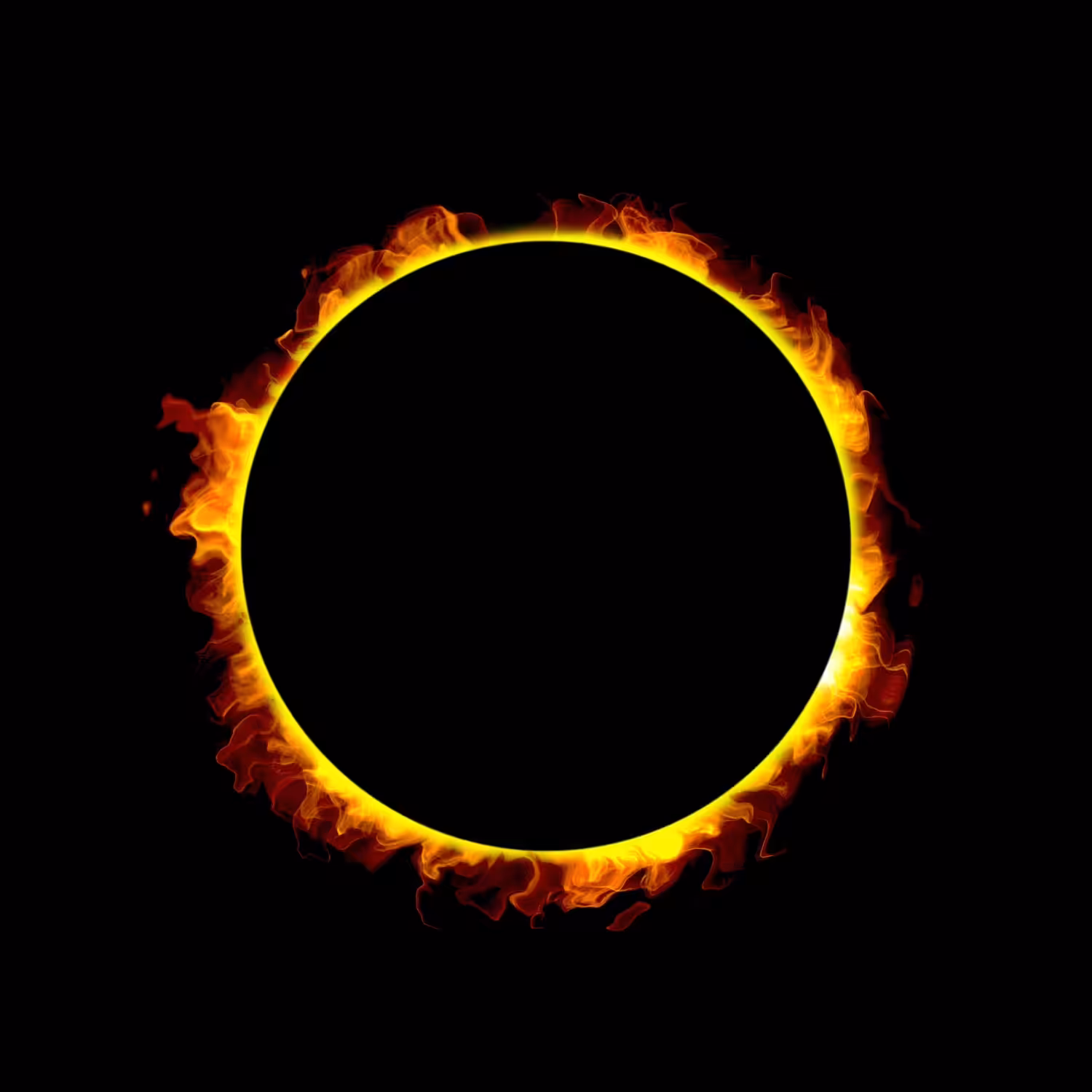 Black Hole Sun