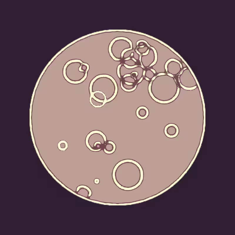 Cheap Petri Dish #72