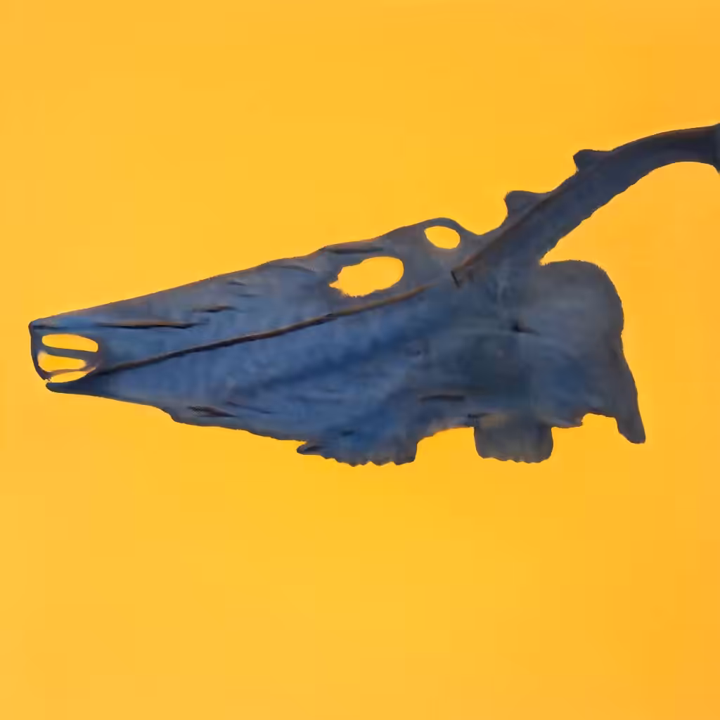Bones In The Sky Marfa No. 103