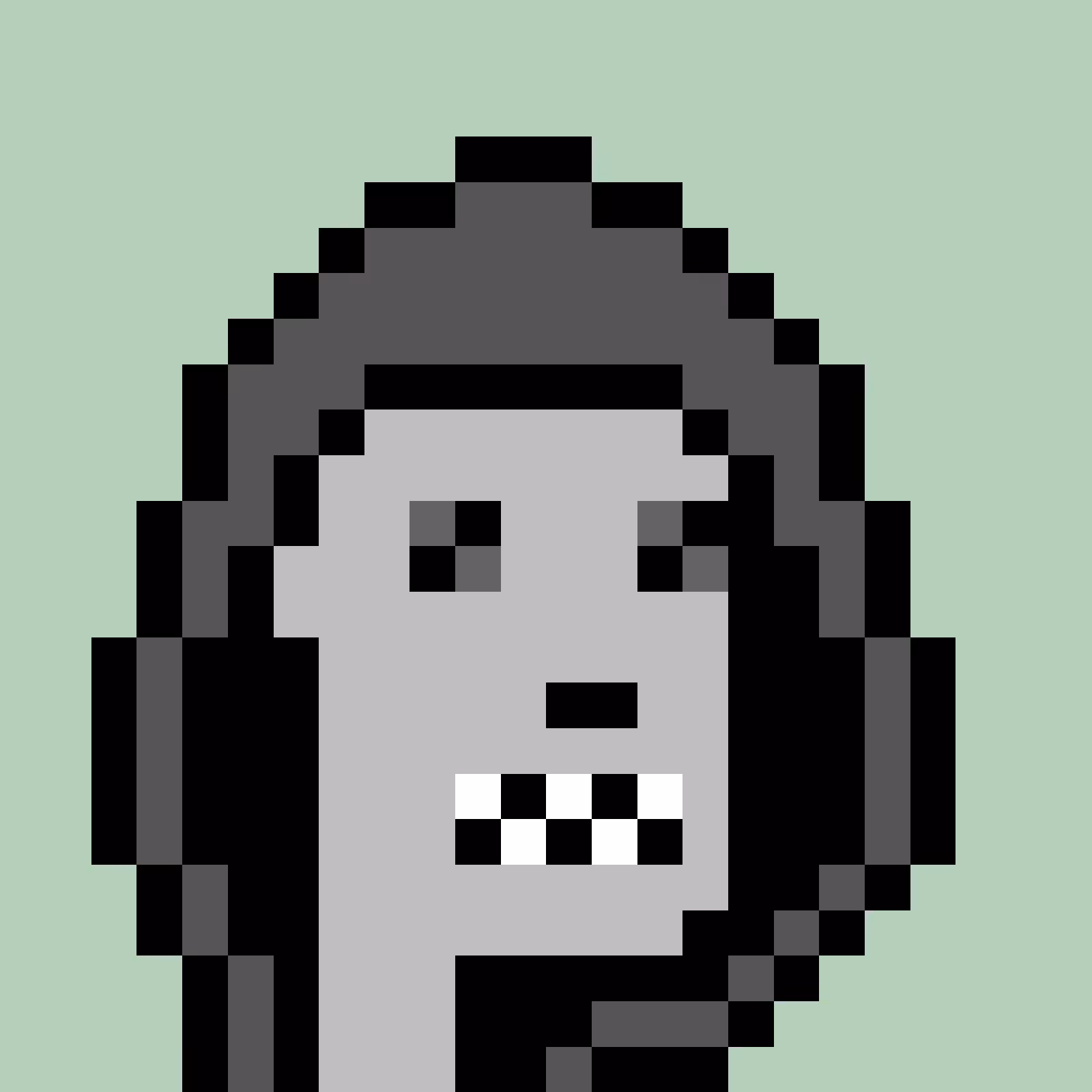 RoboPunks 2048 #1843