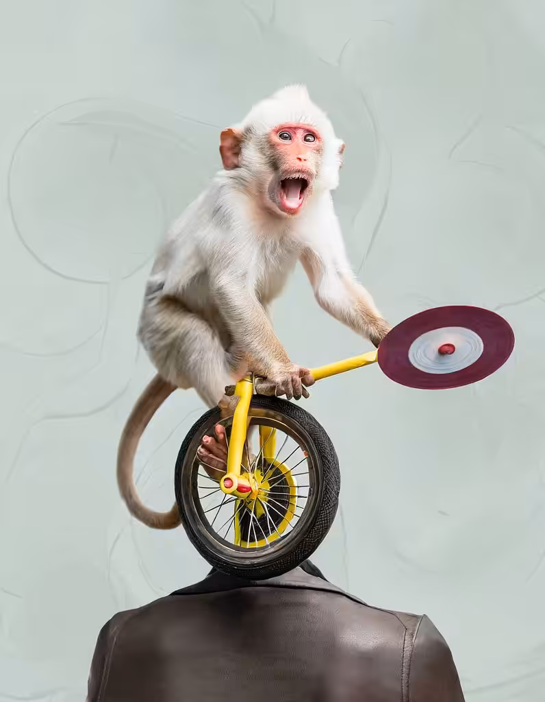 in_the_hominid_mind_monkeyshines_3D