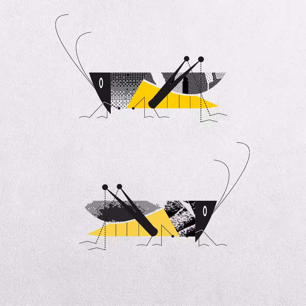 Grasshopper Abstraction #16