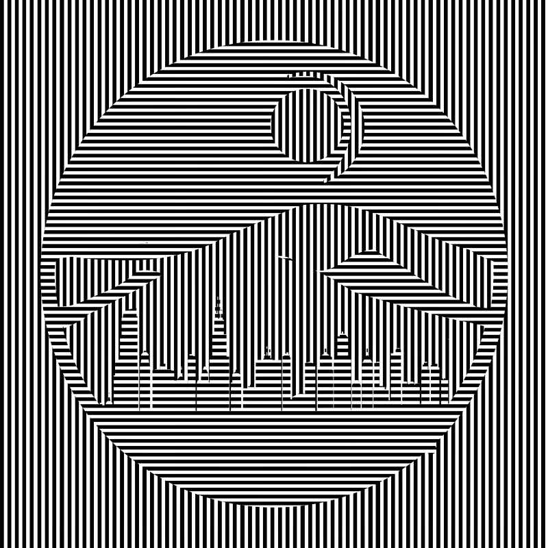 illusion #13