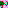 Pixel Animal 3/3