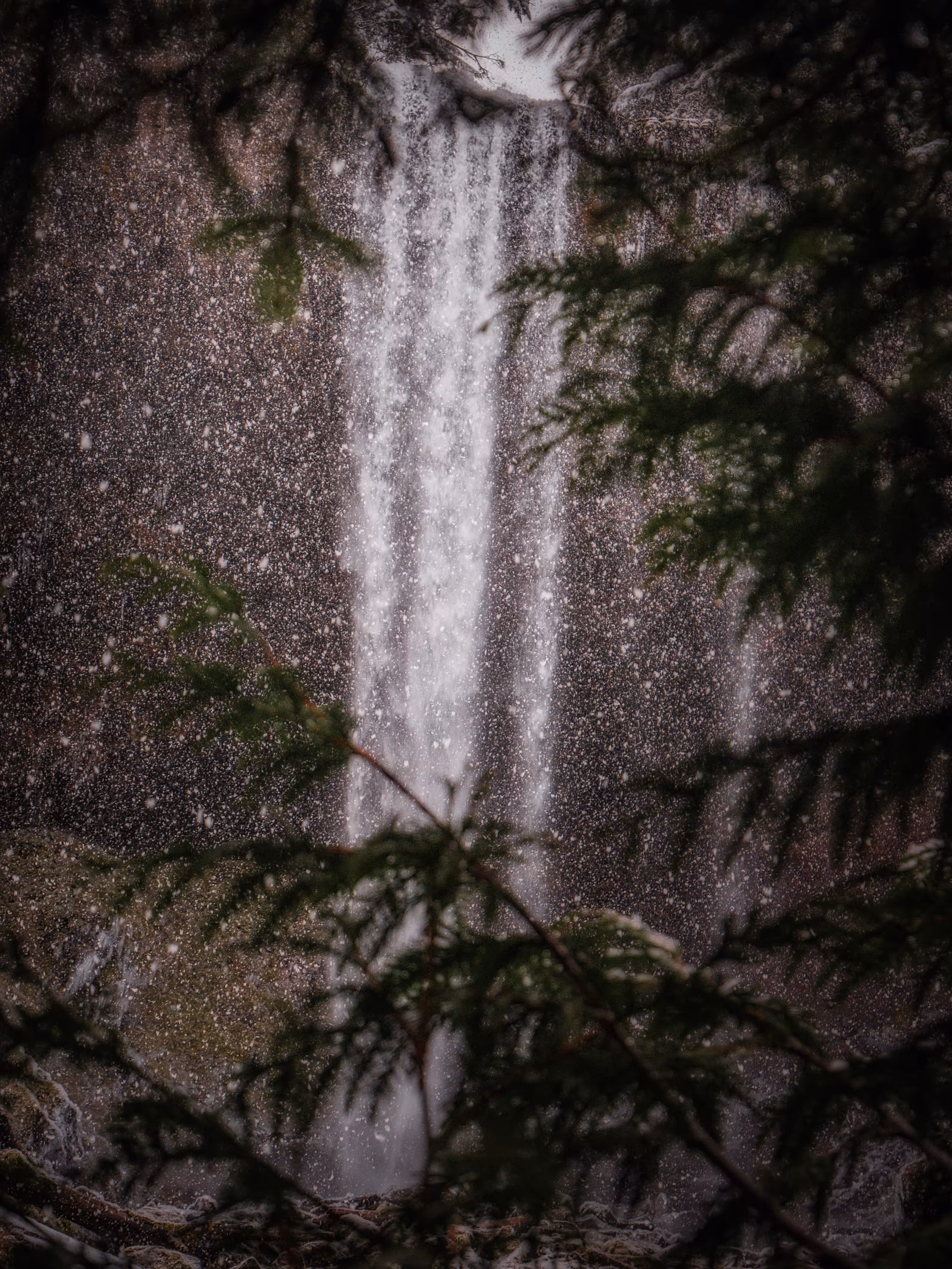 Wonderfalls - Blizzard Falls - #018