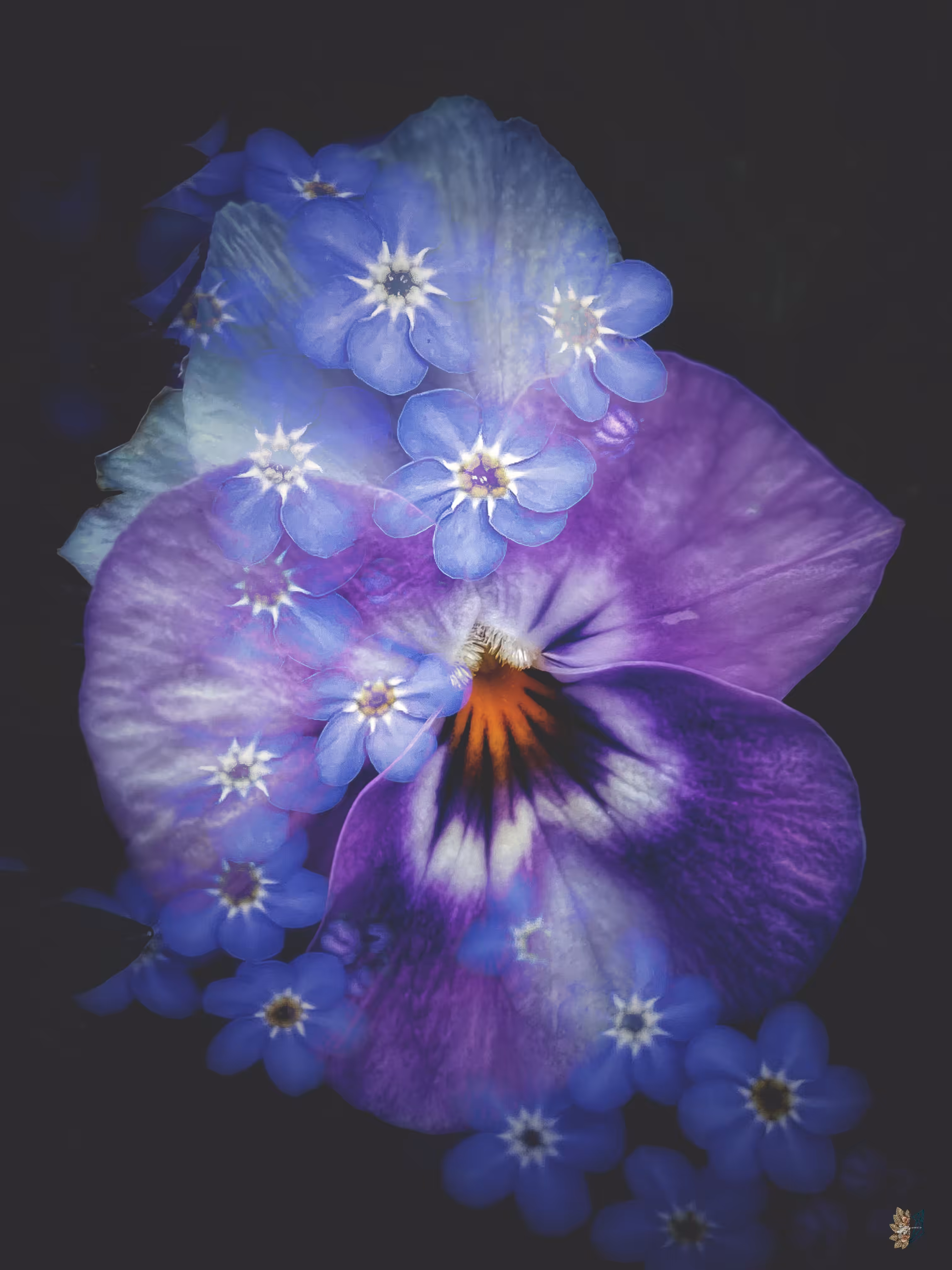 🌸💫 Flower Fusion: Mysterious Mauve💜