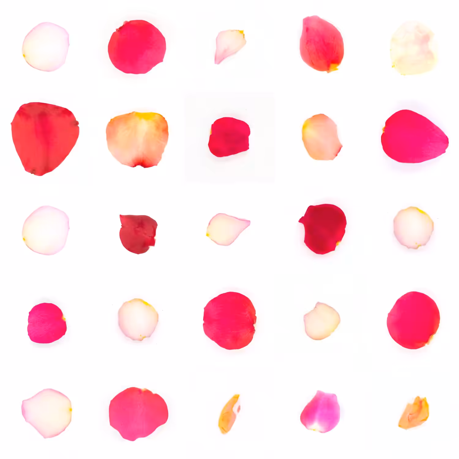 Infinite Petals 5x5#449