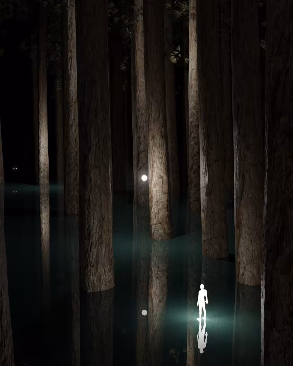 Lost in the Forest