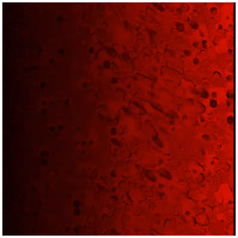 Psychopathic Patterns #23