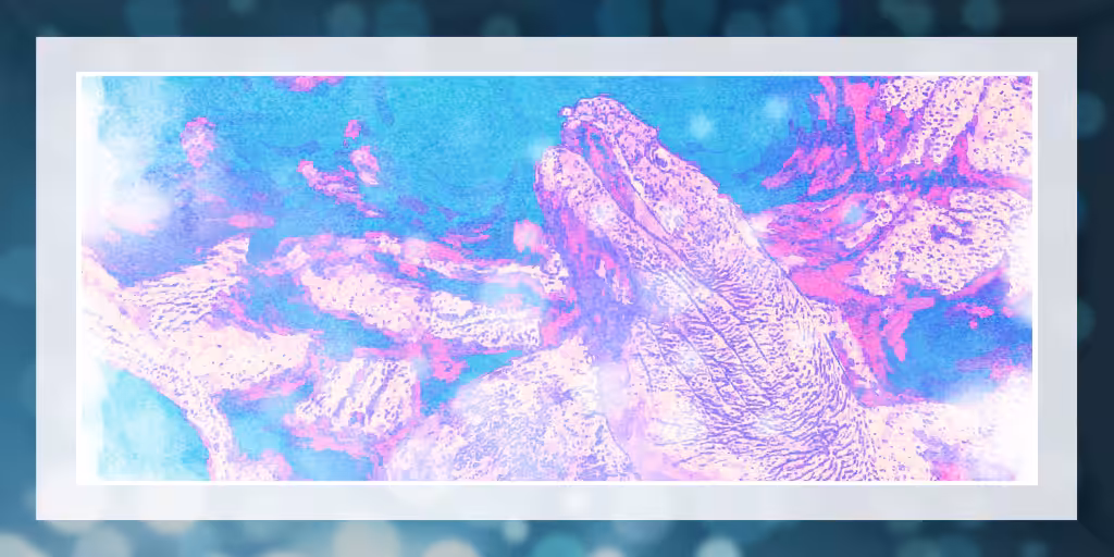 鰻§ (Galerie Edition)