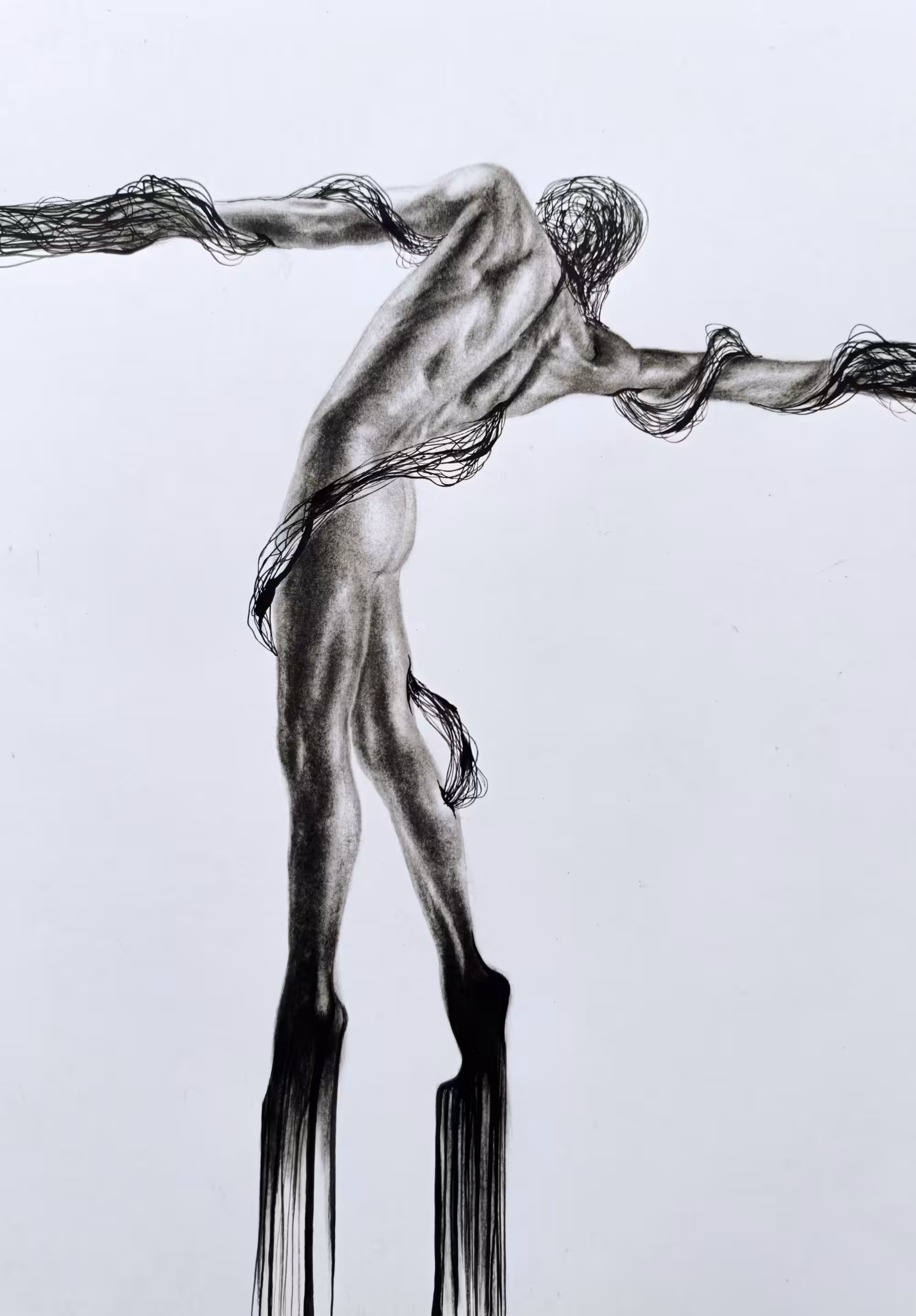 SHADOWS (pencil art): Ensnared