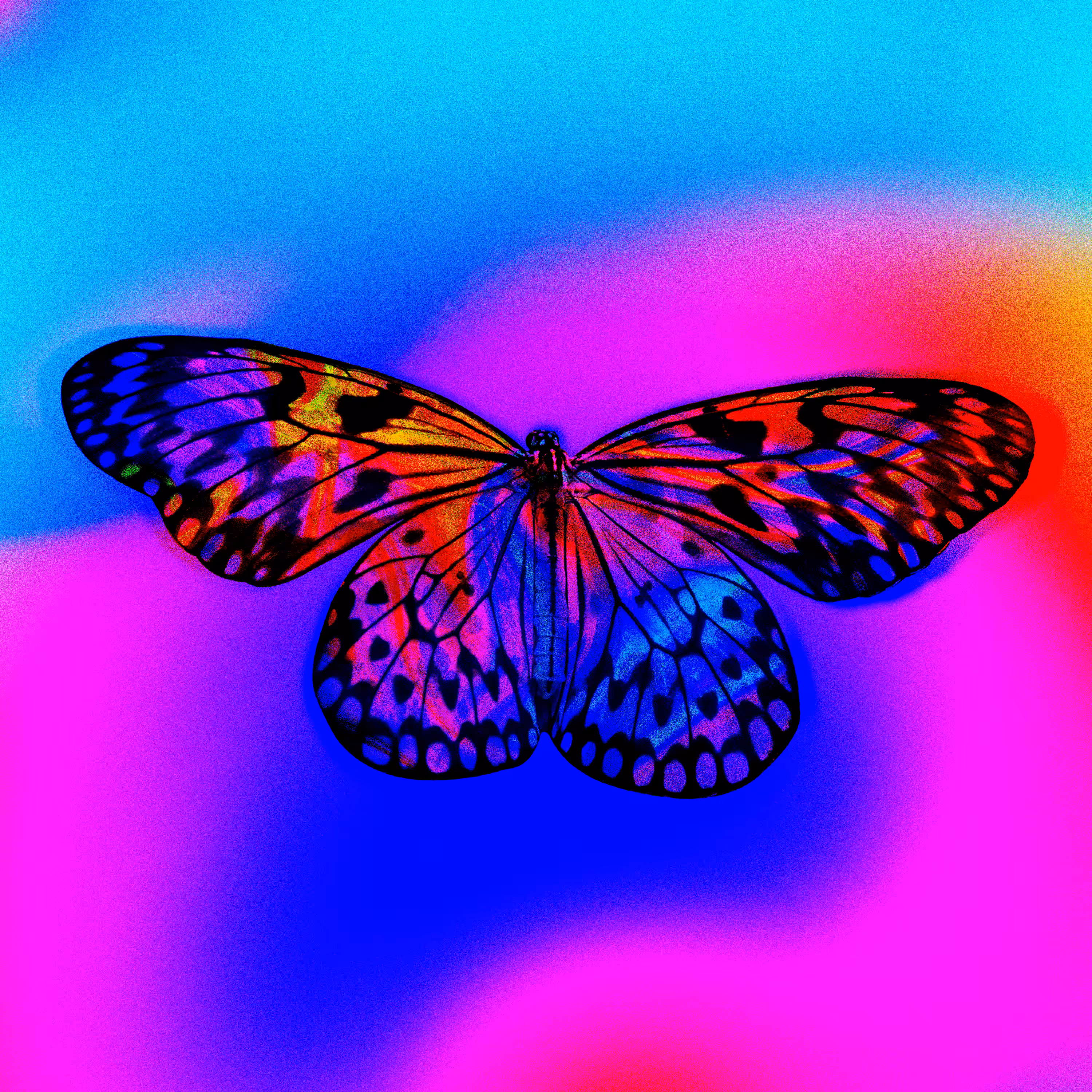 Whimsical 