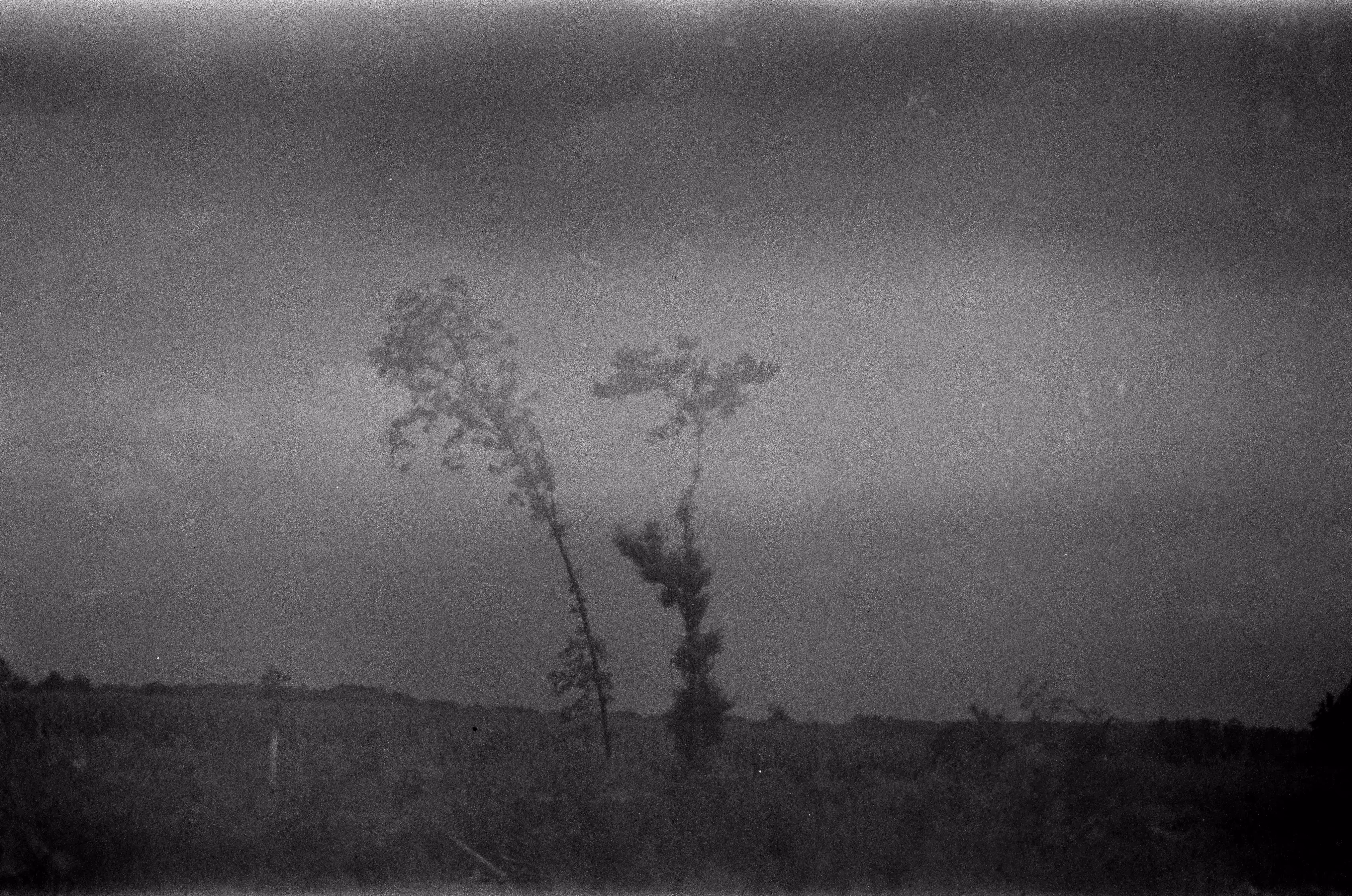 Held Apart