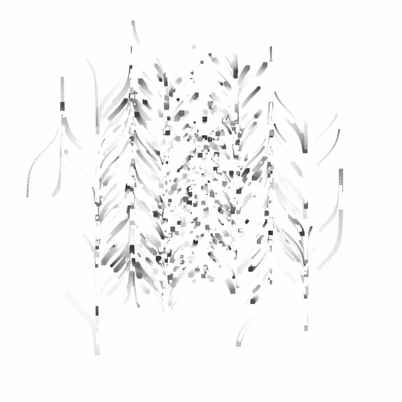 Particle Swarm #7