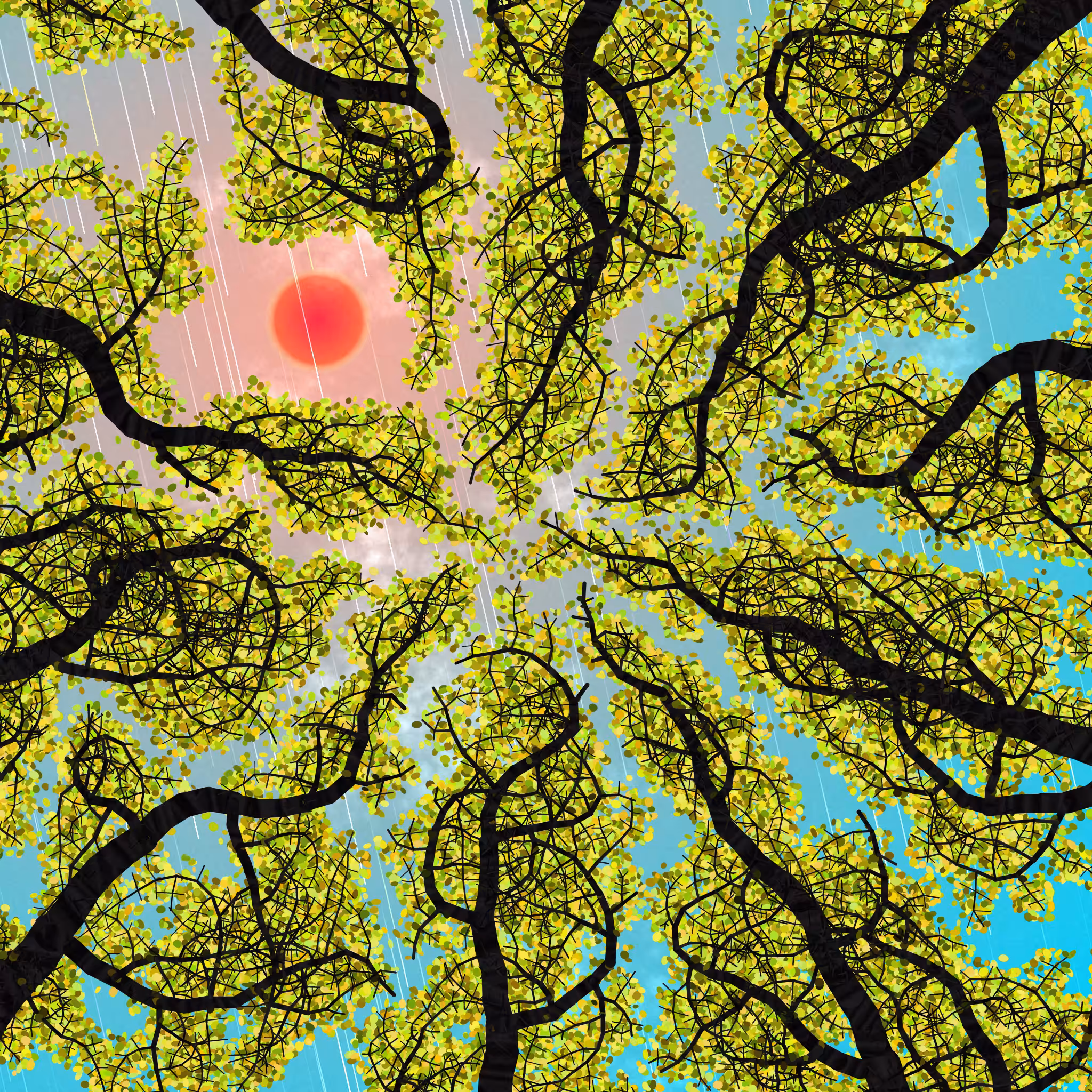 Tree Skyness #173