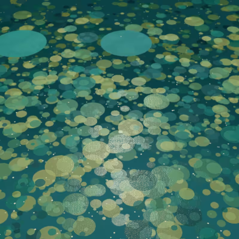 Pond #39