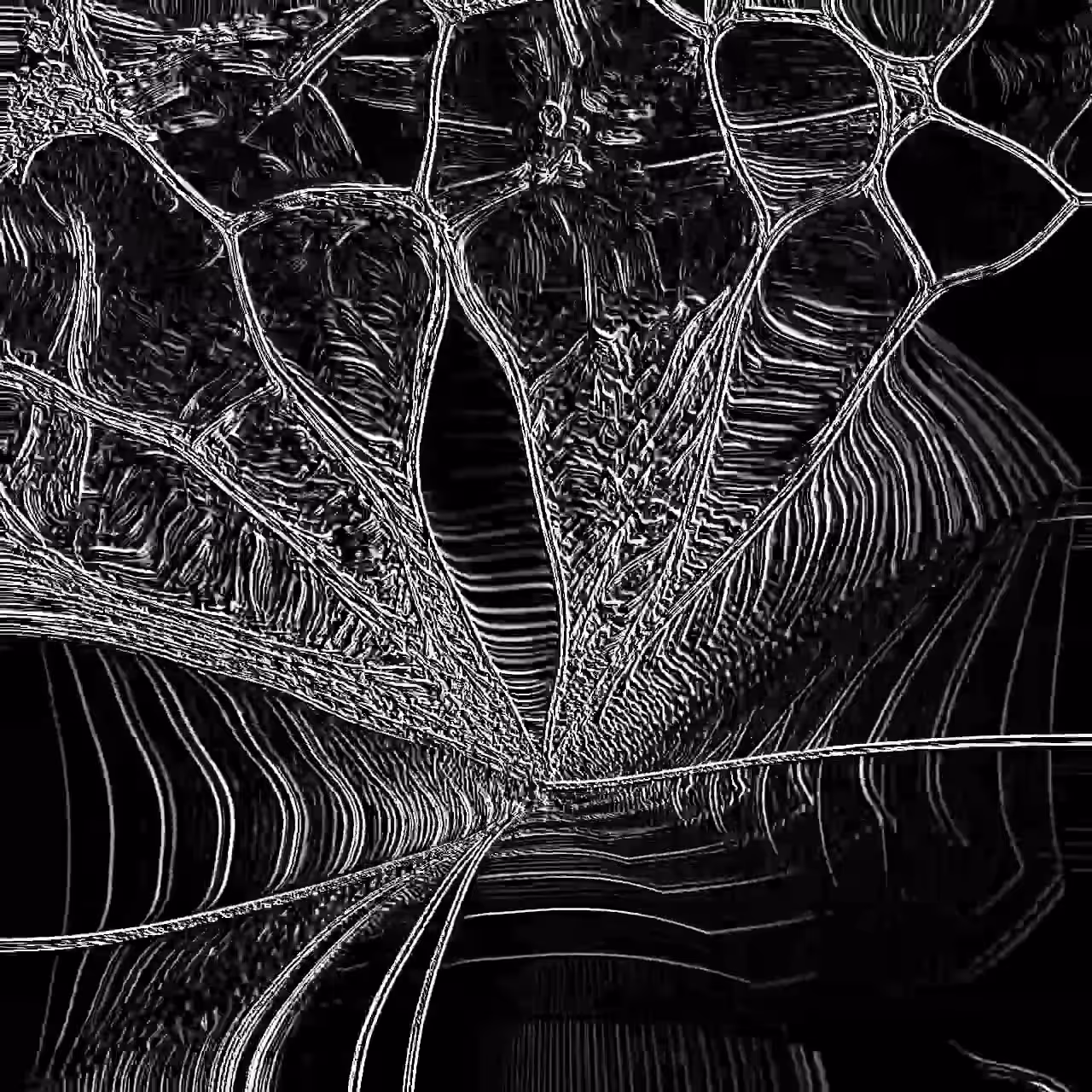 Cr#001