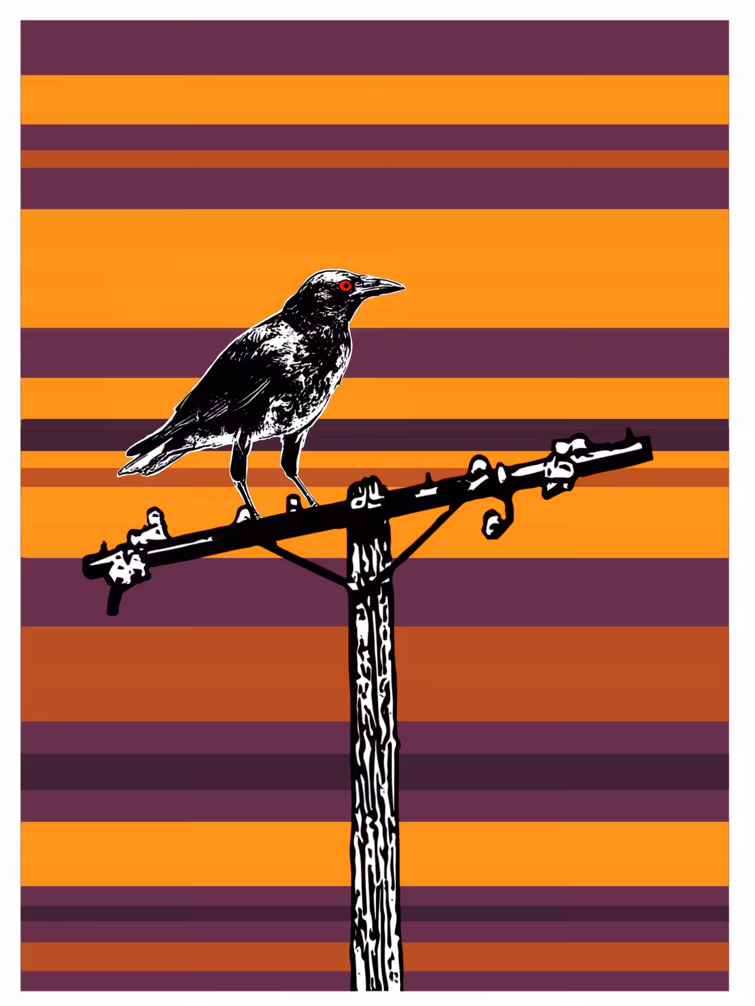 The raven and the light