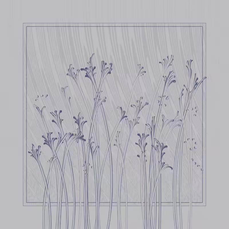 string_pllu #80