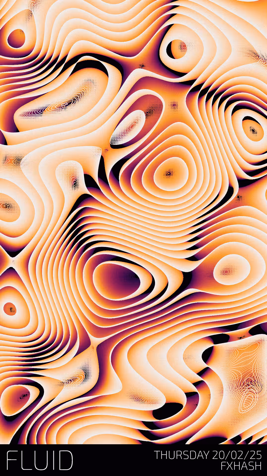 FLUID / Announcement