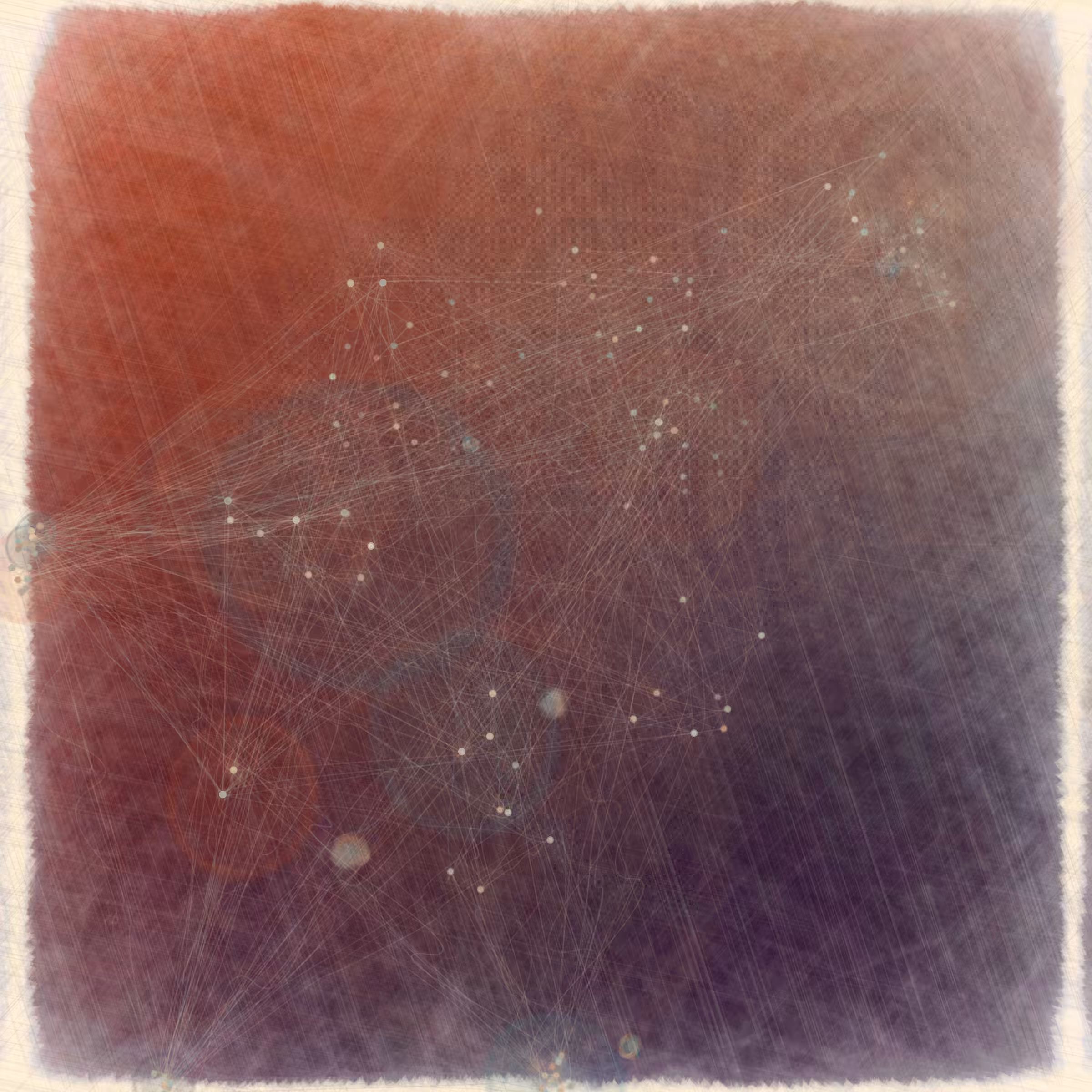 Reticulum