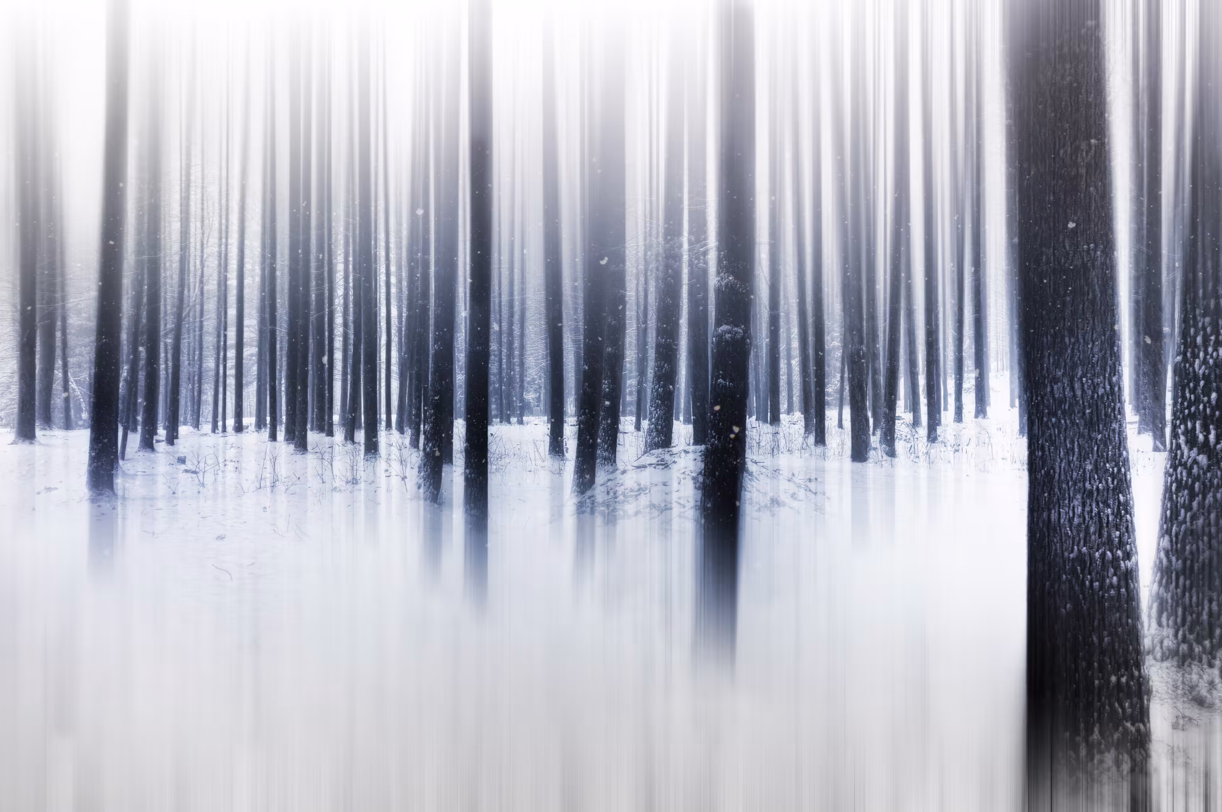 ICM 02