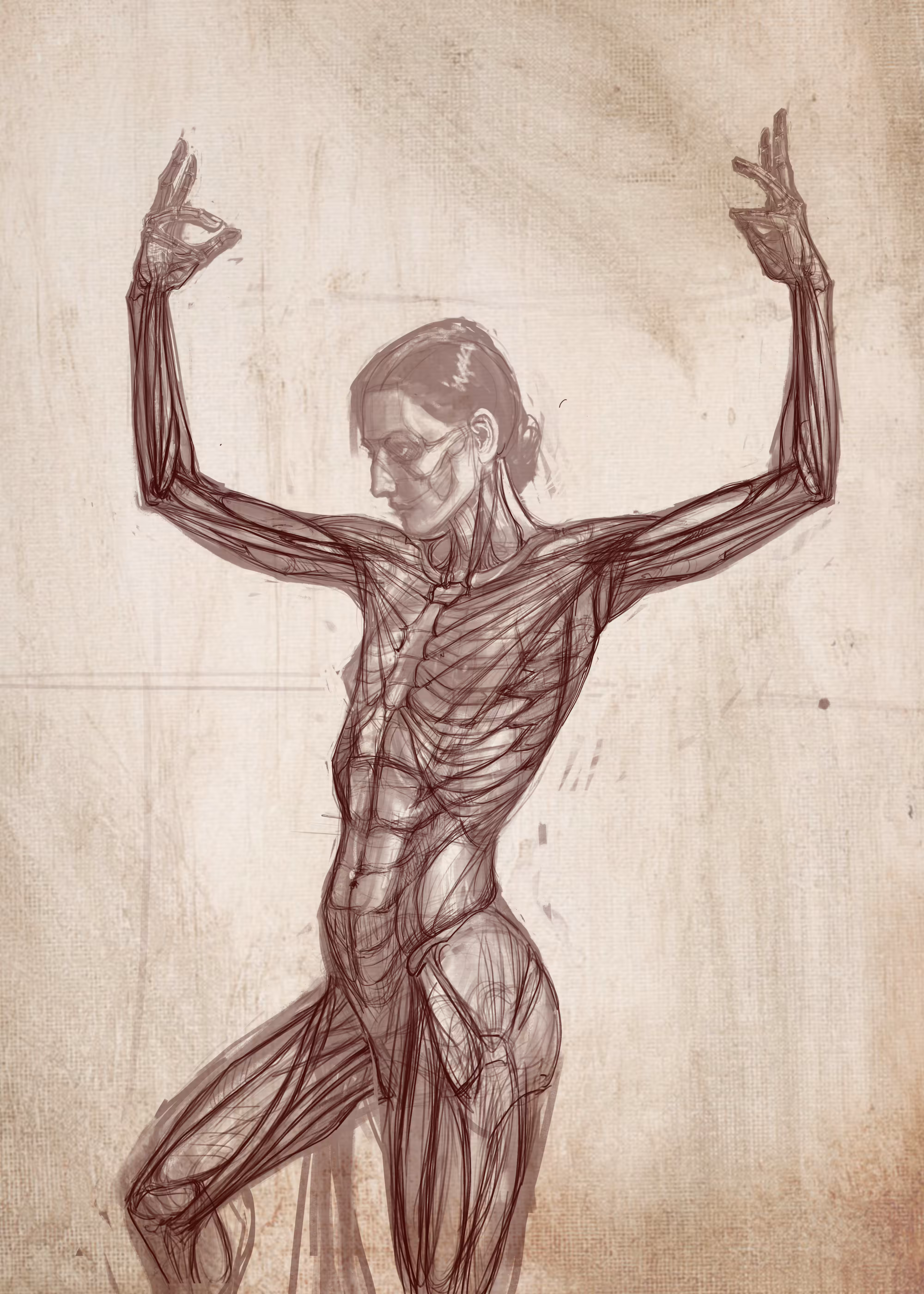 The Dance Sketch