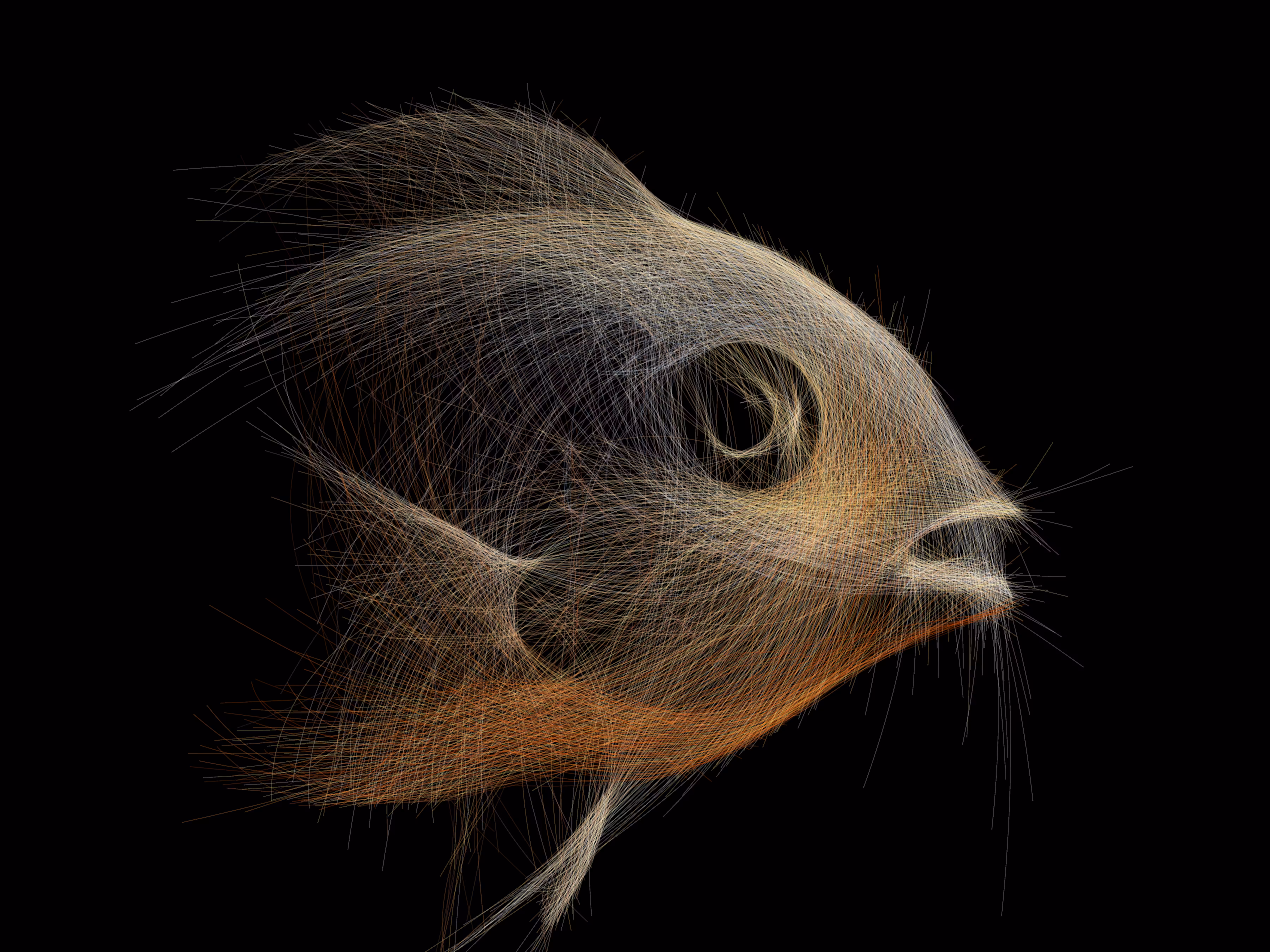Underwater 141
