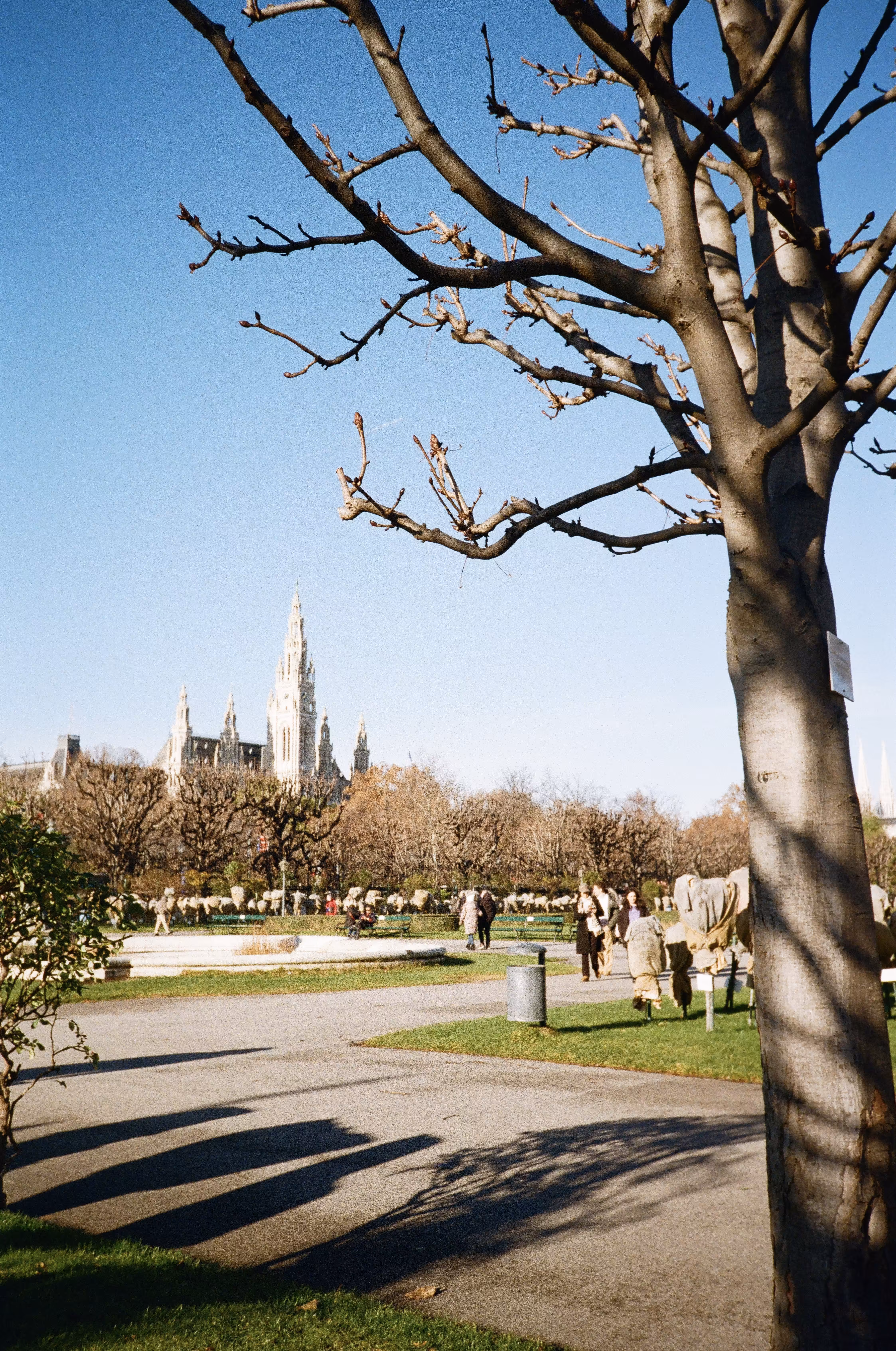 Rodeo posts: Vienna on film