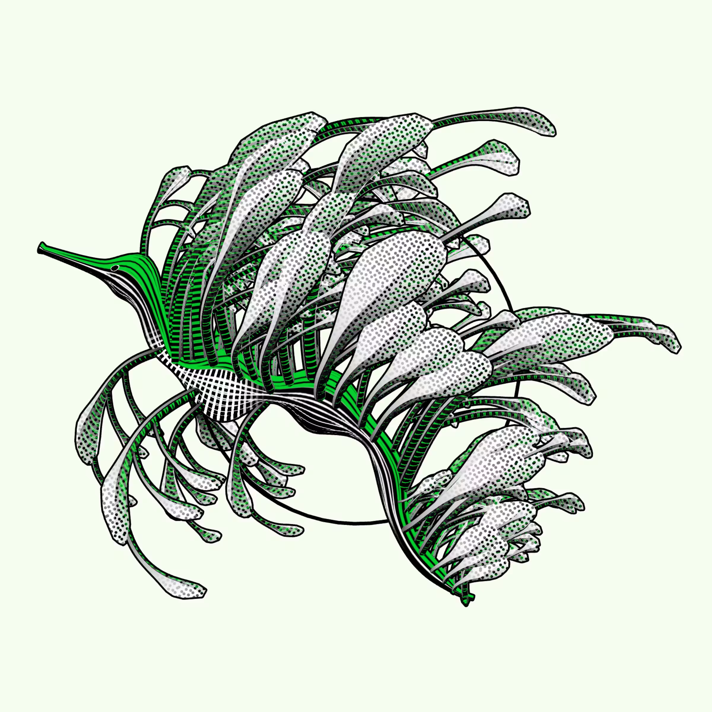 Seadragons #448