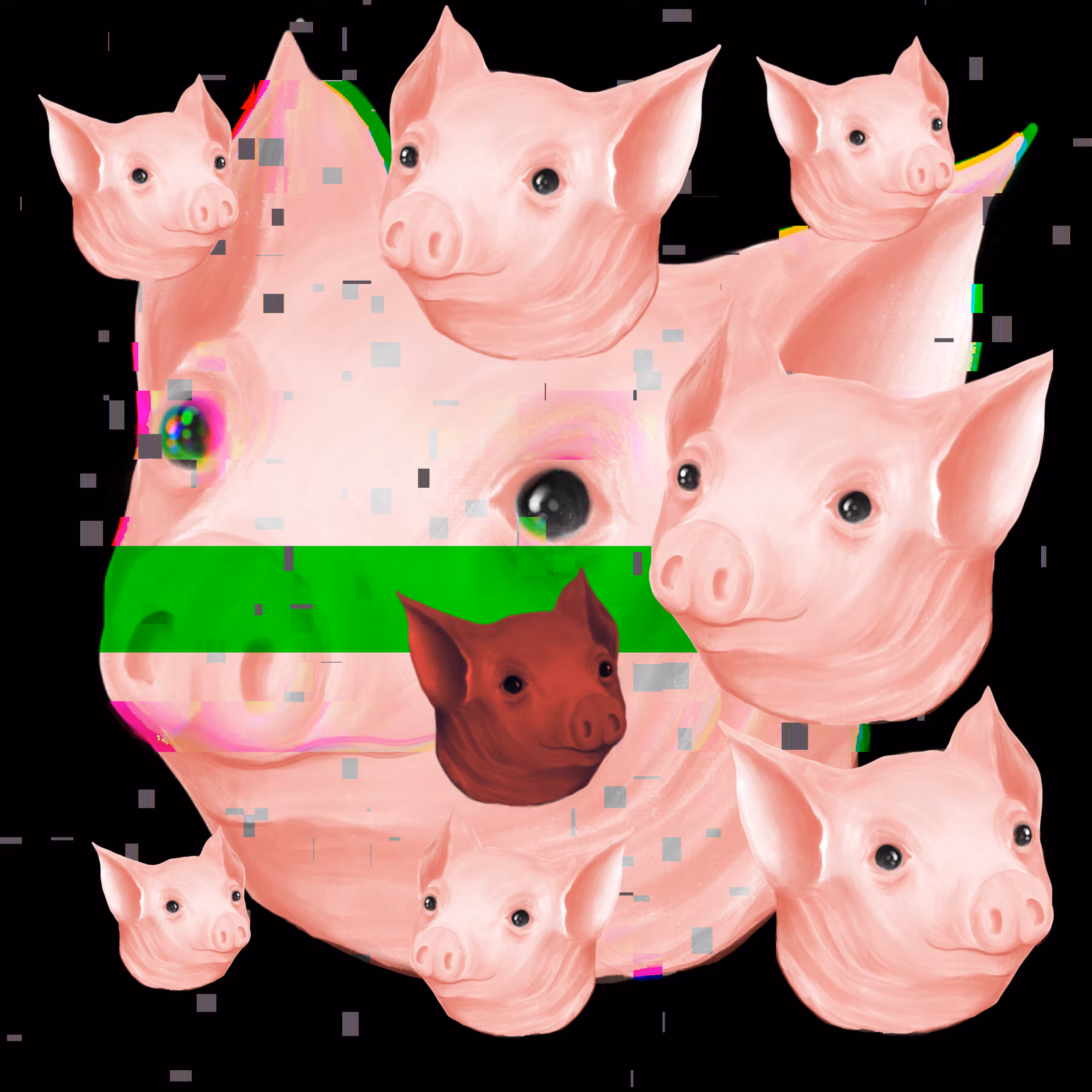 Piggy Pig