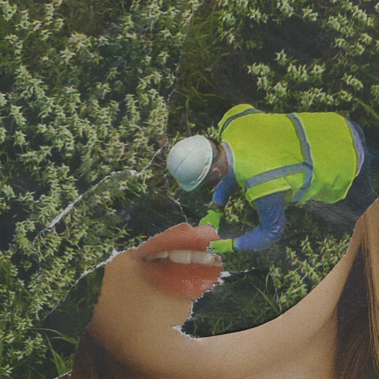 1mouth analog #110