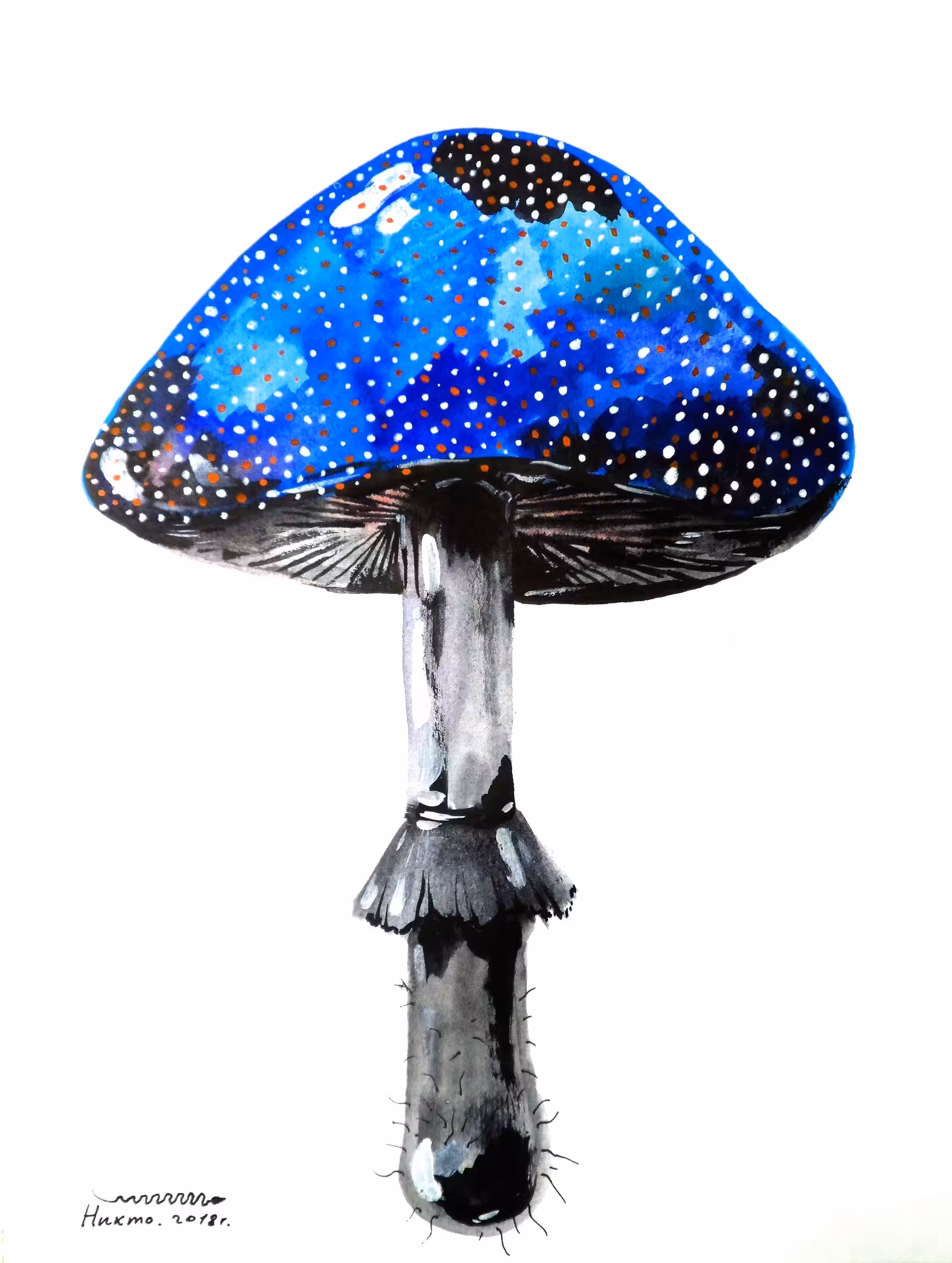 BLUE STARS