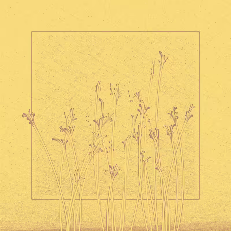 string_pllu #82